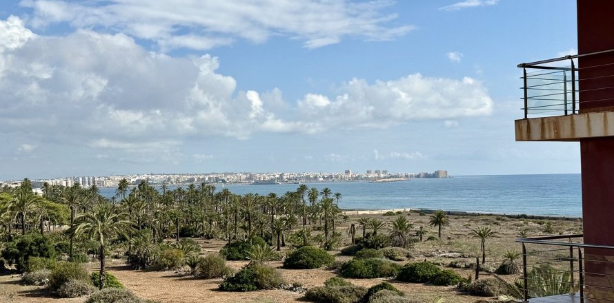 Apartamento Torrevieja, Alicante, España 2 dormitorios, 55 m2 No. 138506