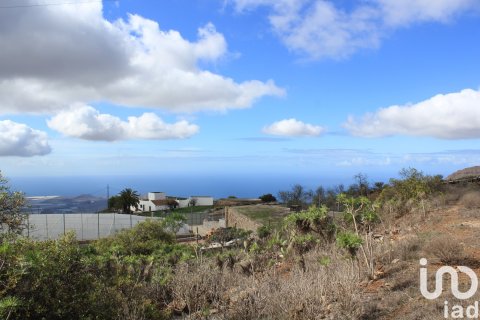 Terreno in vendita a Vilaflor, Tenerife, Spagna 2774 mq. N° 153807 - foto 2