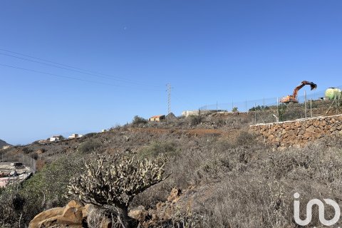 Terreno in vendita a Vilaflor, Tenerife, Spagna 2774 mq. N° 153807 - foto 9