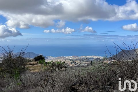 Terreno in vendita a Vilaflor, Tenerife, Spagna 2774 mq. N° 153807 - foto 21