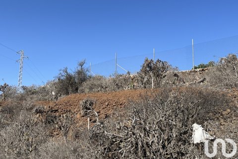 Terreno in vendita a Vilaflor, Tenerife, Spagna 2774 mq. N° 153807 - foto 8