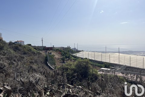 Terreno in vendita a Vilaflor, Tenerife, Spagna 2774 mq. N° 153807 - foto 7