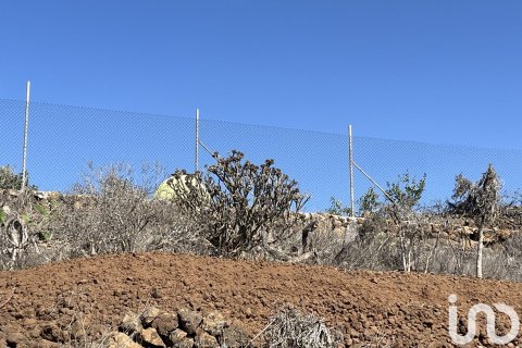 Terreno in vendita a Vilaflor, Tenerife, Spagna 2774 mq. N° 153807 - foto 12