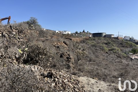 Terreno in vendita a Vilaflor, Tenerife, Spagna 2774 mq. N° 153807 - foto 15