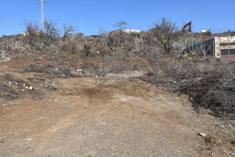 Terreno in vendita a Vilaflor, Tenerife, Spagna 2774 mq. N° 153807 - foto 17