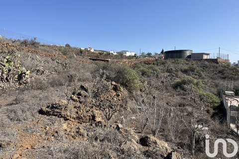 Terreno in vendita a Vilaflor, Tenerife, Spagna 2774 mq. N° 153807 - foto 13