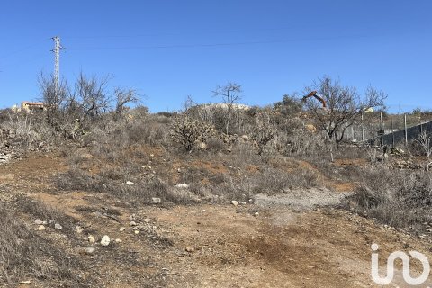 Terreno in vendita a Vilaflor, Tenerife, Spagna 2774 mq. N° 153807 - foto 5