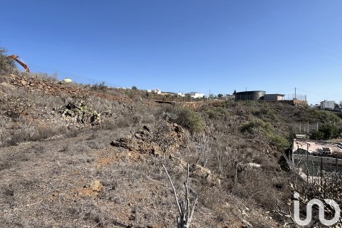 Terreno in vendita a Vilaflor, Tenerife, Spagna 2774 mq. N° 153807 - foto 6