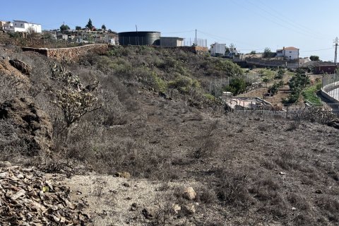 Terreno in vendita a Vilaflor, Tenerife, Spagna 2774 mq. N° 153807 - foto 16