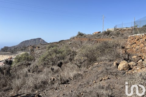 Terreno in vendita a Vilaflor, Tenerife, Spagna 2774 mq. N° 153807 - foto 10