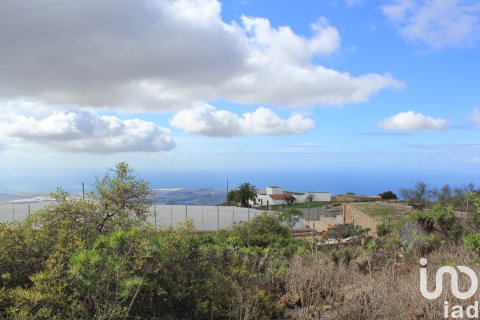 Terreno in vendita a Vilaflor, Tenerife, Spagna 2774 mq. N° 153807 - foto 19