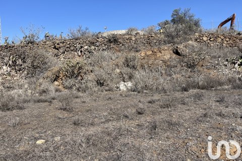 Terreno in vendita a Vilaflor, Tenerife, Spagna 2774 mq. N° 153807 - foto 14