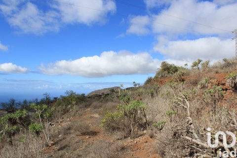 Terreno in vendita a Vilaflor, Tenerife, Spagna 2774 mq. N° 153807 - foto 18