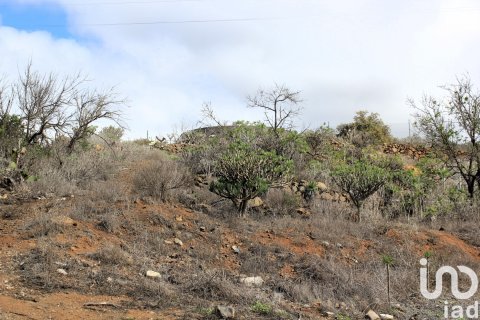Terreno in vendita a Vilaflor, Tenerife, Spagna 2774 mq. N° 153807 - foto 20