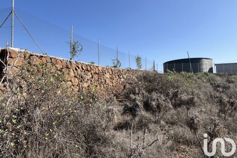 Terreno in vendita a Vilaflor, Tenerife, Spagna 2774 mq. N° 153807 - foto 11