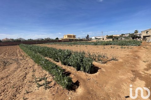 Tontti myytävänä Torredembarra, Tarragona, Espanja , 9645 m2 No. 153806 - kuva 7