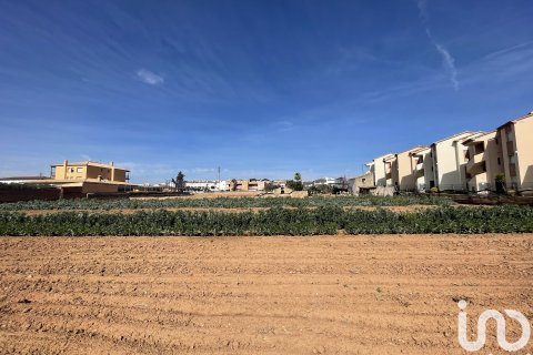 Tontti myytävänä Torredembarra, Tarragona, Espanja , 9645 m2 No. 153806 - kuva 5