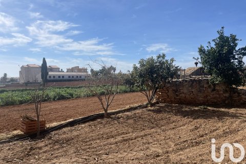 Tontti myytävänä Torredembarra, Tarragona, Espanja , 9645 m2 No. 153806 - kuva 4