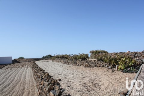 Terreno in vendita a Vilaflor, Tenerife, Spagna 2247 mq. N° 153808 - foto 7