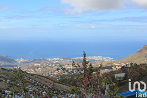 Terreno in vendita a Vilaflor, Tenerife, Spagna 2247 mq. N° 153808 - foto 14