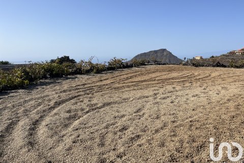 Terreno in vendita a Vilaflor, Tenerife, Spagna 2247 mq. N° 153808 - foto 4