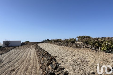 Terreno in vendita a Vilaflor, Tenerife, Spagna 2247 mq. N° 153808 - foto 3