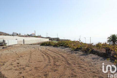 Terreno in vendita a Vilaflor, Tenerife, Spagna 2247 mq. N° 153808 - foto 8