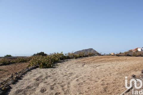 Terreno in vendita a Vilaflor, Tenerife, Spagna 2247 mq. N° 153808 - foto 12