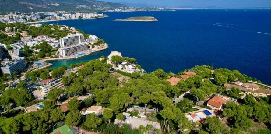 Villa Cala Vinyes, Mallorca, España 6 dormitorios, 800 m2 No. 109936