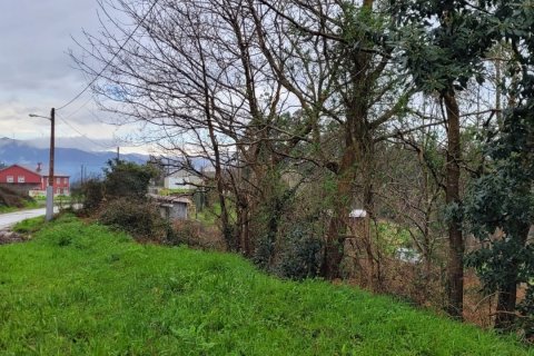 Продажа дома в Фос, Луго, Испания 4 спальни, 350м2 №153639 - фото 15