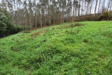 Продажа дома в Фос, Луго, Испания 4 спальни, 350м2 №153639 - фото 11