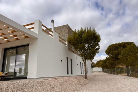 Villa à vendre à Pinoso, Alicante, Espagne, 4 chambres, 283 m2 No. 193401 - photo 28
