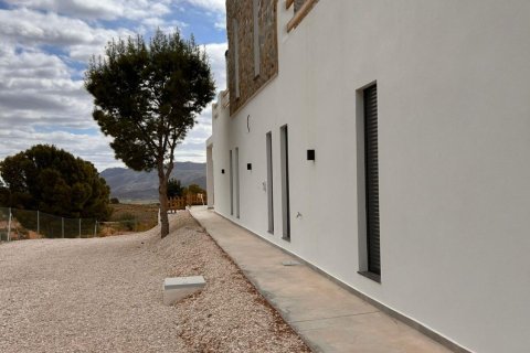 Villa à vendre à Pinoso, Alicante, Espagne, 4 chambres, 283 m2 No. 193401 - photo 27