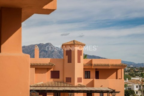 Penthäuser zum Verkauf in Benahavis, Malaga, Spanien 3 Schlafzimmer, 131 m2 Nr. 196489 - Foto 9