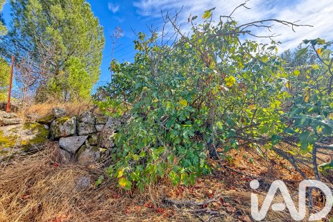 Land plot à vendre à El Tiemblo, Avila, Espagne, 11300 m2 No. 152652 - photo 24