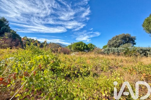 Land plot à vendre à El Tiemblo, Avila, Espagne, 11300 m2 No. 152652 - photo 16