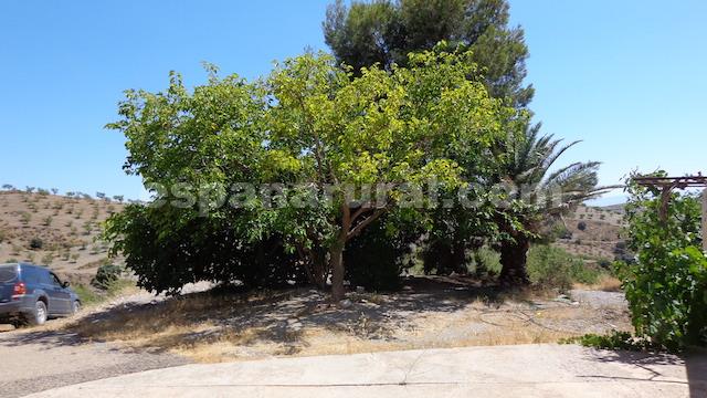 Casa a Albox, Almeria, Spagna 3 camere da letto, 178 mq. N° 184148