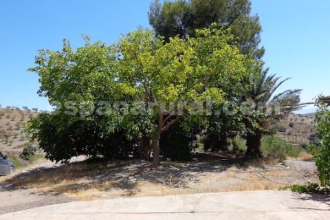 House for sale in Albox, Almeria, Spain 3 bedrooms, 178 sq.m. No. 184148 - photo 20