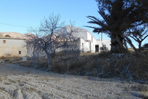 House for sale in Albox, Almeria, Spain 3 bedrooms, 178 sq.m. No. 184148 - photo 16