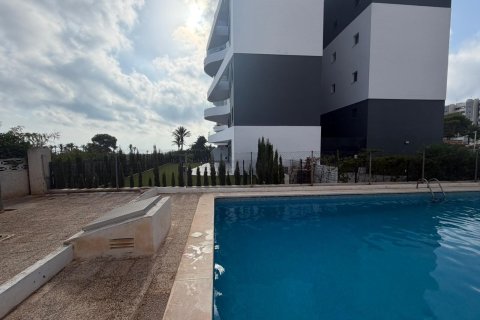 Apartment in Punta Prima, Alicante, Spain 2 bedrooms, 74 sq.m. No. 195568