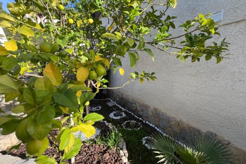 Продажа виллы в Коста Де Ла Кальма, Майорка, Испания 4 спальни, 125м2 №155877 - фото 27