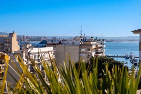 Penthouse à vendre à Palma de Majorca, Mallorca, Espagne, 2 chambres, 141 m2 No. 155875 - photo 8