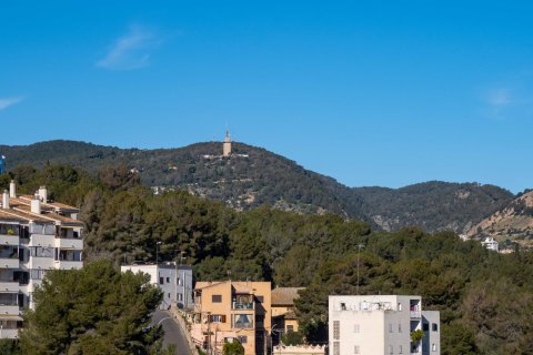 Penthouse à vendre à Palma de Majorca, Mallorca, Espagne, 2 chambres, 141 m2 No. 155875 - photo 7