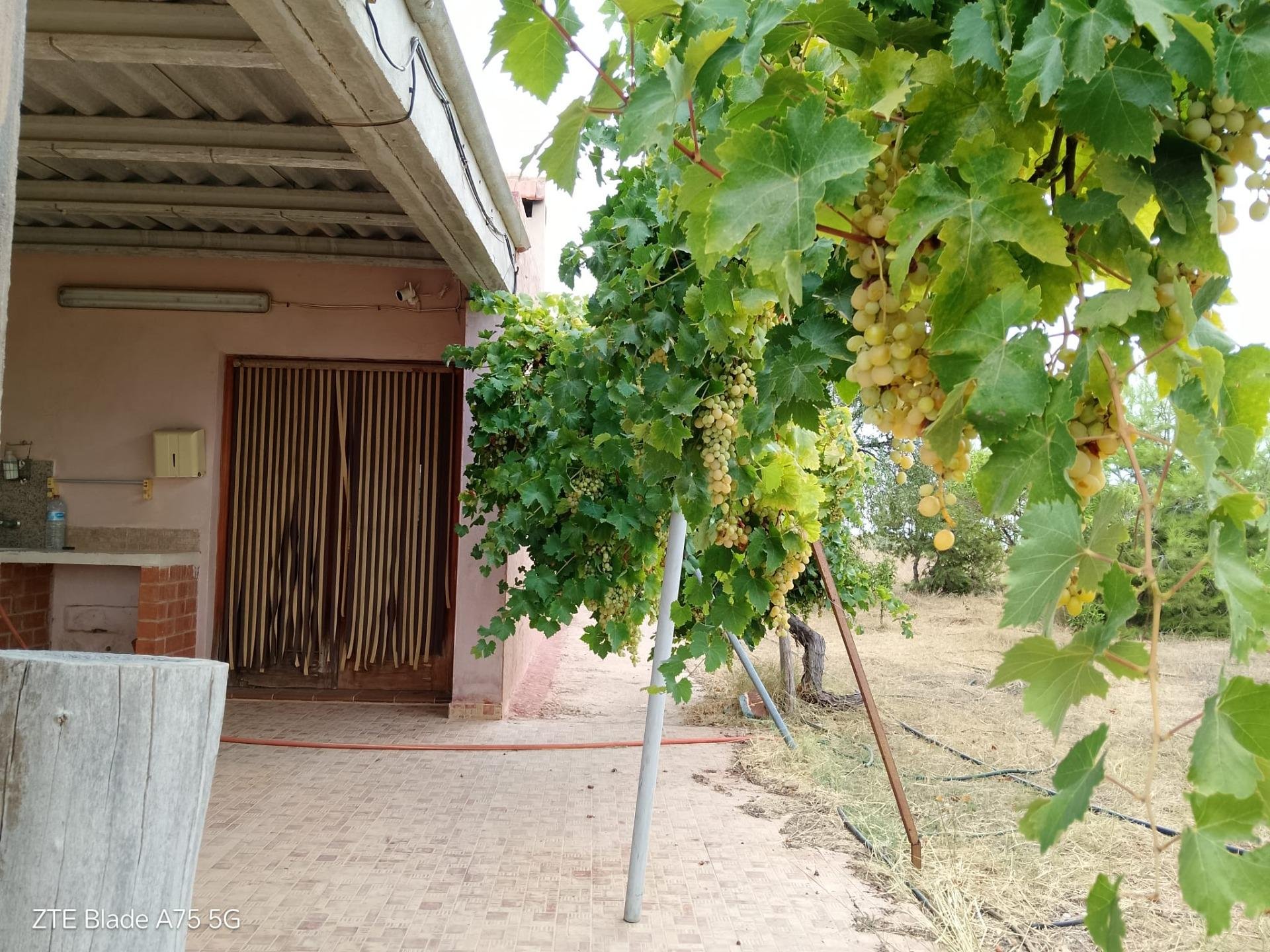 Finca à Cartagena, Murcia, Espagne 4 chambres, 230 m2 No. 139443