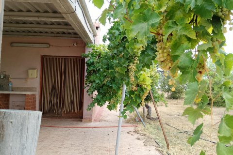 Finca till salu Cartagena, Murcia, Spanien 4 sovrum, 230 kvm. Nr. 139443 - foto 9