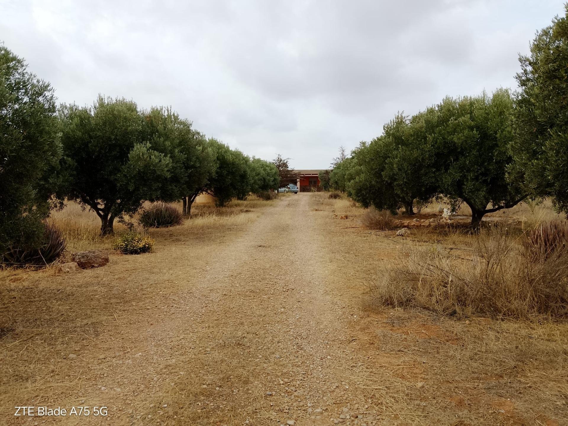 Finca à Cartagena, Murcia, Espagne 4 chambres, 230 m2 No. 139443
