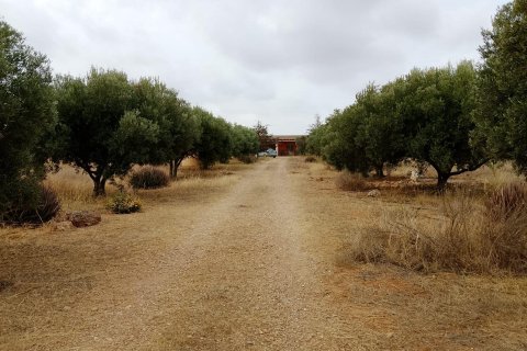 Finca till salu Cartagena, Murcia, Spanien 4 sovrum, 230 kvm. Nr. 139443 - foto 24