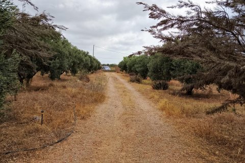 Finca till salu Cartagena, Murcia, Spanien 4 sovrum, 230 kvm. Nr. 139443 - foto 3