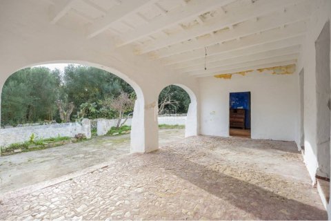 House zum Verkauf Alaior, Menorca, Spanien 8 Schlafzimmer, 539 m2 Nr. 138947 - Foto 3
