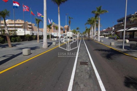 Commercial property à vendre Arona, Tenerife, Espagne, 235 m2 No. 111120 - photo 3